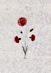 Ebru Sanatı