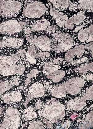 Battal Ebru büyük boy. 70x100 cm battal ebru