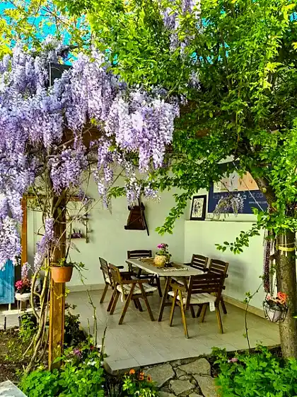 Dokusu Sanat Galerisi
